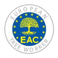 ETW Tree Worker